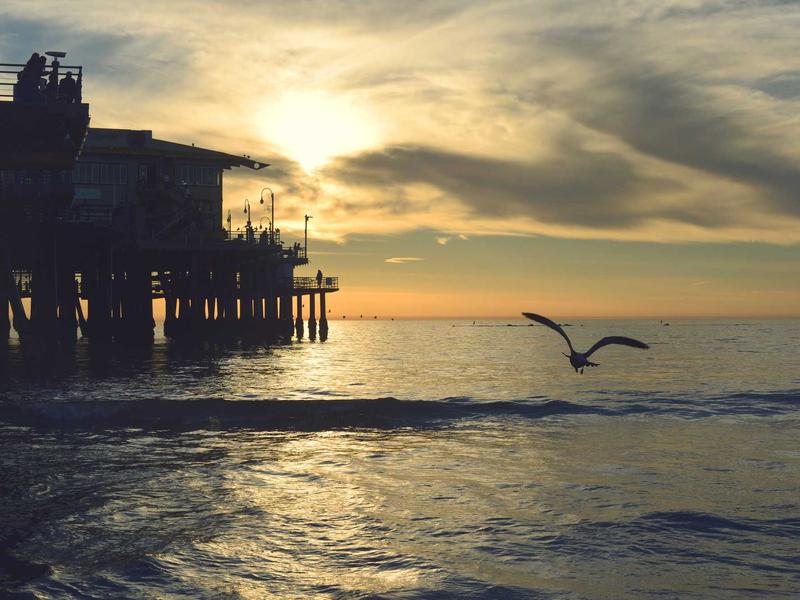 仿生人会梦见电子羊吗<br>uwsuuyl.cn 意识上传实验